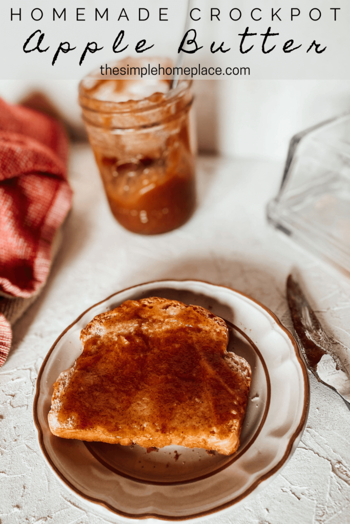 homemade healthy apple butter on toast