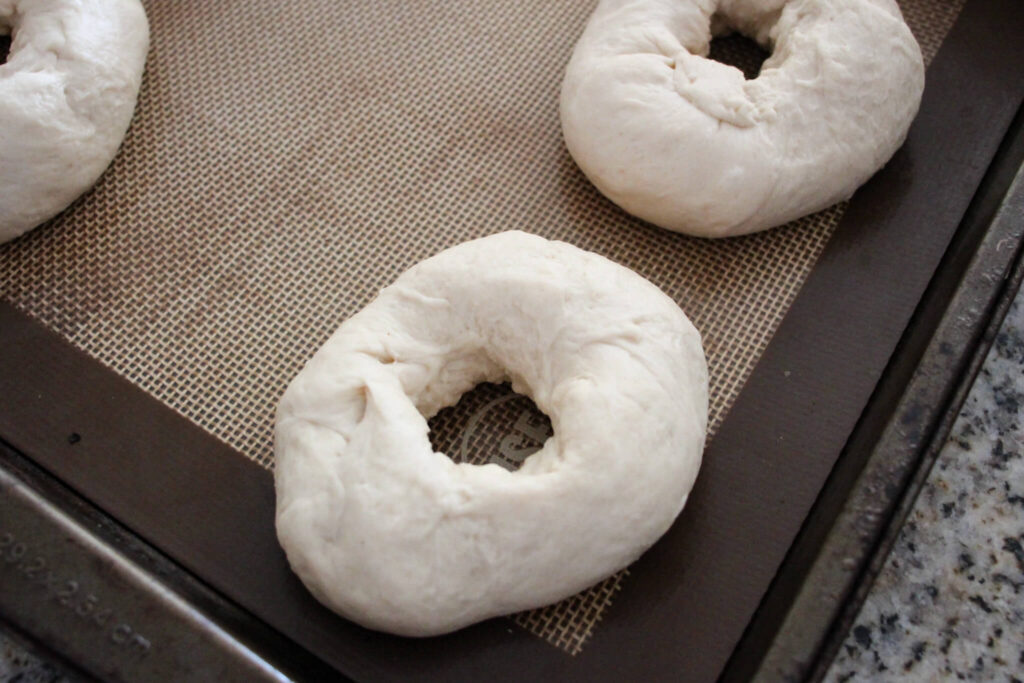 shaped sourdough bagel dough