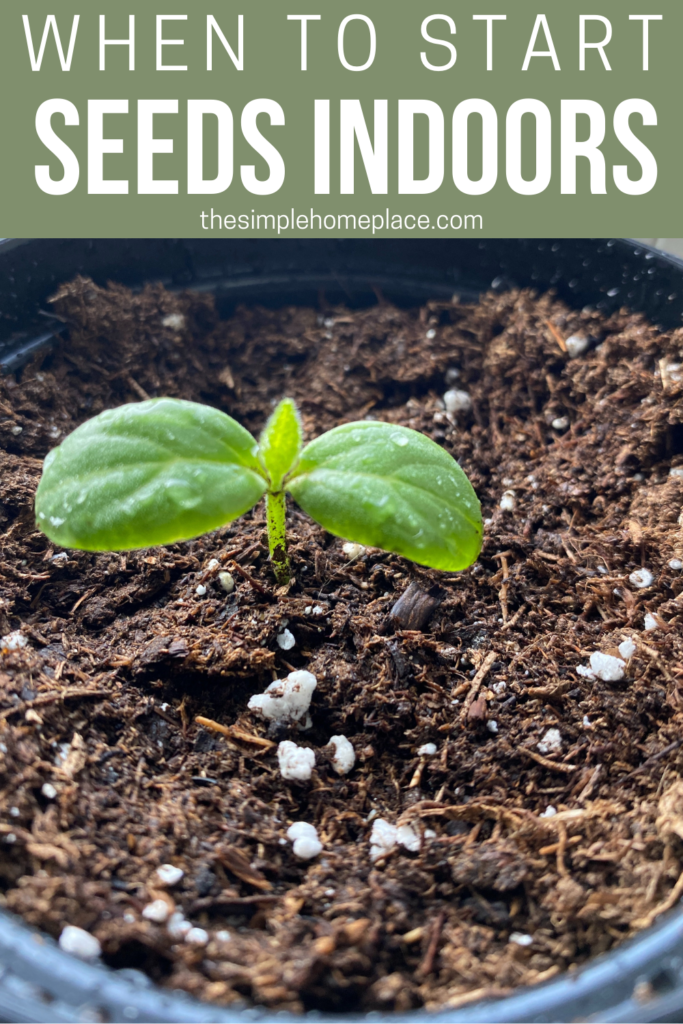 How to Calculate When to Start Seeds Indoors - The Simple Homeplace