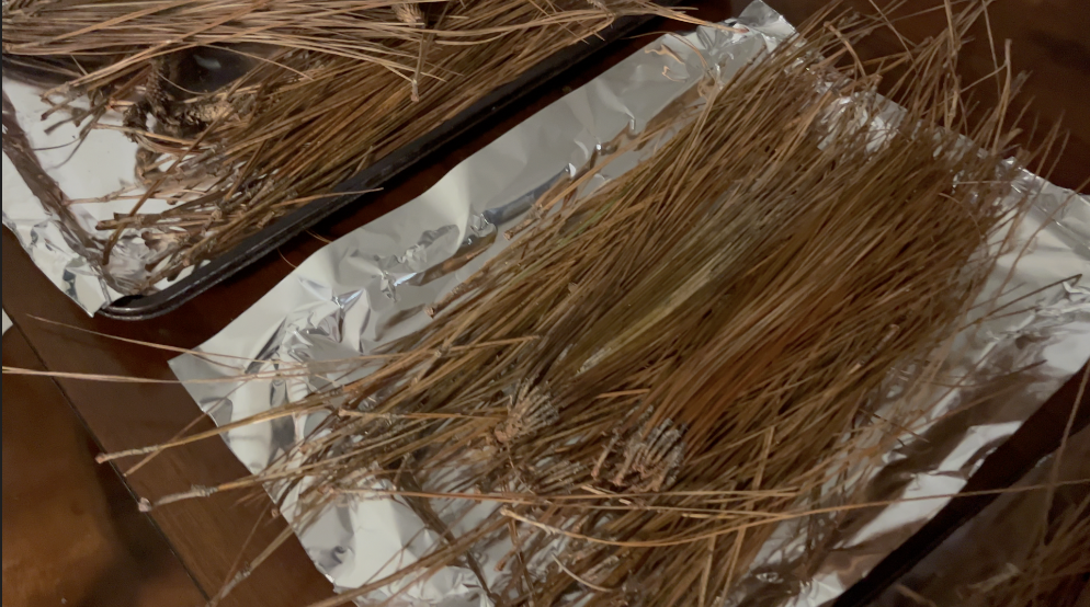 How to Make a Pine Needle Hand Broom, with DIY Video – Mother Earth News